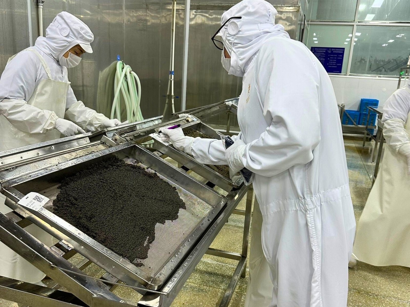 Beluga caviar London — premium wholesale supplier of sturgeon caviar in the UK