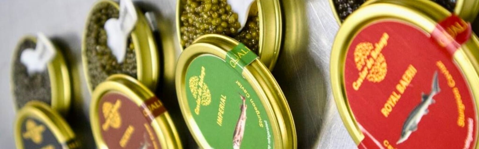 Royal Beluga caviar tin — luxury sturgeon caviar from Beluga Farms London
